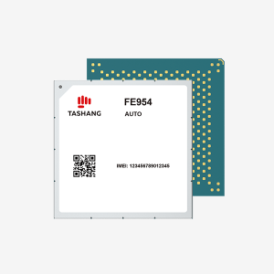 FE954